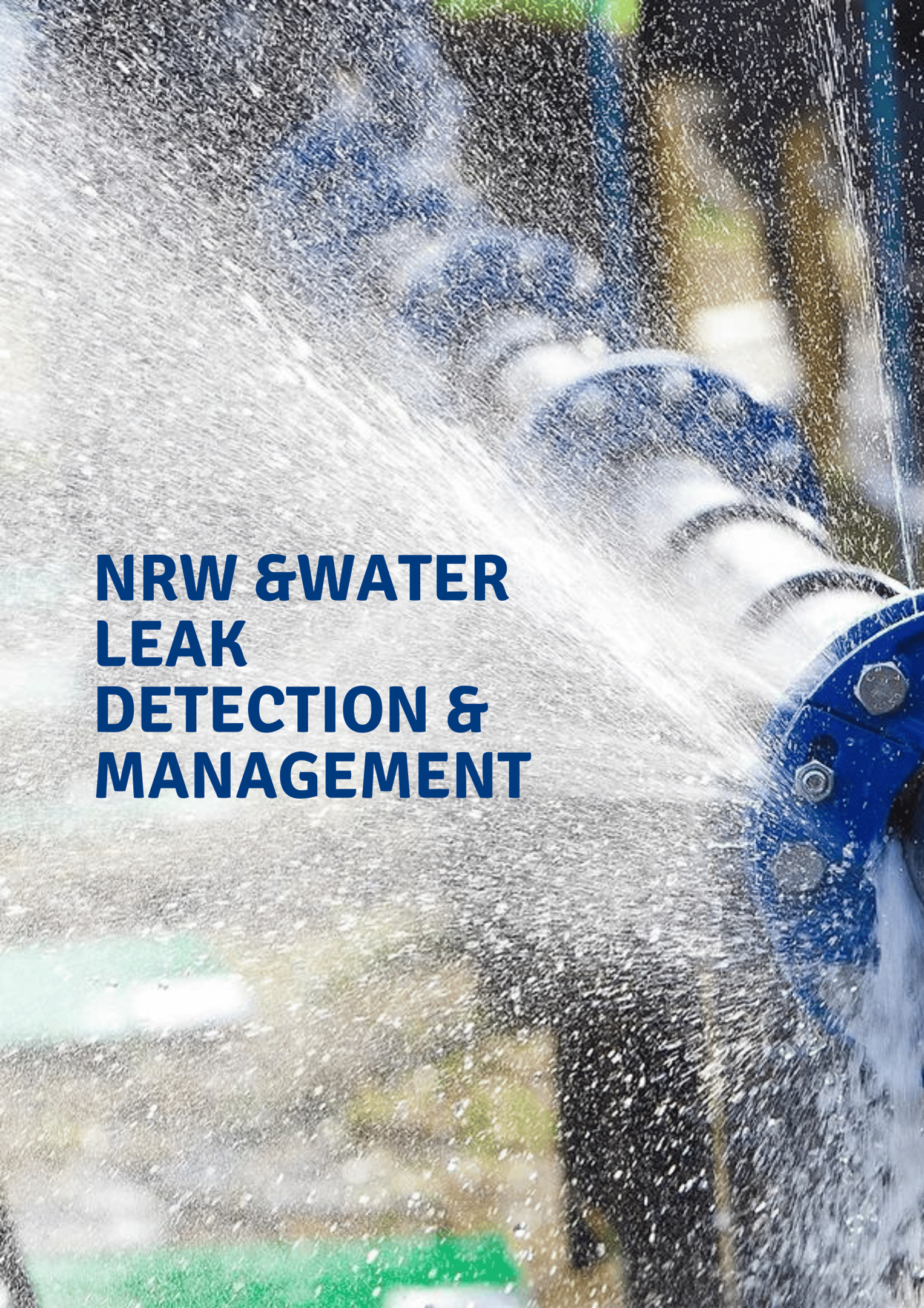 Water Leak Detection & NRW Monitoring Workshop